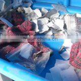 Push Sweeper/Manual Sweeper/Floor Cleaner/Garage Cleaner thumbnail-5