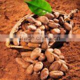 Alkalized Cocoa Powder thumbnail-3