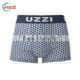 HSZ-0056 Breathable Relaxation 10% Spandex 90% Polyester Boxer Briefs Men Bodycare Seamless Underwear Man Underpants