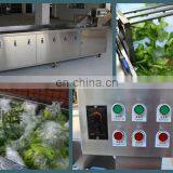 Fruit and Vegetable Processing Machines/food Production Line Equipment/fruit And Vegetable Washing Machine thumbnail-7