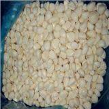 SHANGHAI PORT SHIP CHANDLER IN CHINA thumbnail-5