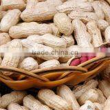 Peanut - Whole or Kernels thumbnail-1