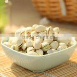 Pistachio Nut thumbnail-1