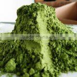 Organic Wheat Grass Powder Bulk Sales thumbnail-4