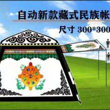 Big Size Easy Fold up Outdoor Travelling Tent Camping Tent for Sale thumbnail-3