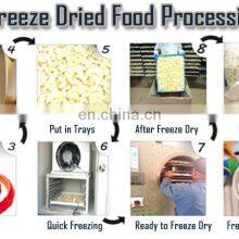 Wholesale Freeze Dried Fruit Vacuum Dryer Freeze Drying Lyophilizer Price Industrial Freeze Dryer Food thumbnail-4