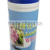 Wet Wipes thumbnail-1