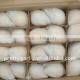 Fresh Golden Pear thumbnail-1