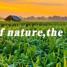 Shanghai Unitebiz International Trade Co.,Ltd. company overview - view 1 thumbnail