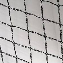 HDPE Grape Protection Net Anti Bird Net Agricultural Vineyard Hail Protection Net thumbnail-5
