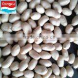 Chinese Blanched Peanut