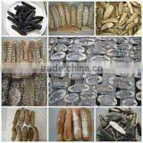 CHEAPEST PRICE DRIED SEA CUCUMBERS HIGH QUALITY!!!!!!!! thumbnail-1