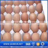 Wholesale Price Eggs Packaging thumbnail-4