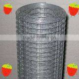 Stainless Steel & Galvanized Welded Wire Mesh (Direct Factory)