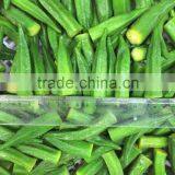 2016 New IQF Frozen Okra thumbnail-2