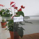 4mm 5mm 6mm Decorative Euro Grey Tempered Tinted Glass thumbnail-3