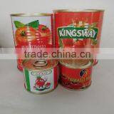 Canned Tomato Paste 800g,sweet Taste,brix28%-30%,red Colour thumbnail-2
