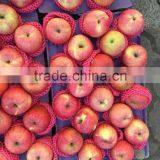 Various Apples thumbnail-5