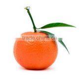 Mandarin Oil Natural thumbnail-1