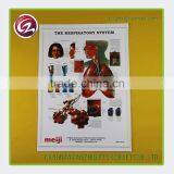 Wholesale Cheap Custom English Wall Chart