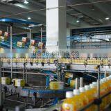 Small Scale Orange Juice Packing Line With High Quality