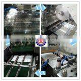 Pharmaceutical Blister Packing Machine thumbnail-4