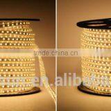 220v 110v RGB Led Strip Light thumbnail-1