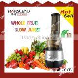 10 Year Motor Quality Guarantee Manual Fruit Slow Juicer, Industrial Juice Extractor Machine, Good Quality Hot Sale Juicer thumbnail-1