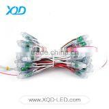 12MM WS 2811 Led Pixel Light for Christmas Use in Outdoor Waterproof IP68 DV5