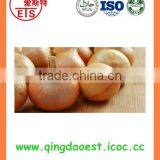BUlk 2016 New Crop Fresh Yellow Onion thumbnail-2