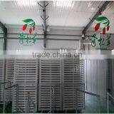 Goji Juice/organic Goji Jucie/goji Berry Juice/fresh Goji Juice thumbnail-3