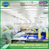 Chilled Garlic Square Cut thumbnail-4