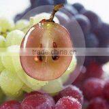 Best Price GMP NSFGrape for Selling in Europe thumbnail-4