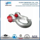 SGS certificated galvanized screw pin shackle