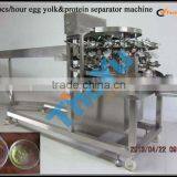 Best Selling Egg Yolk and White Seperator 10000pcs/h on Bakery Exhibition +86-133-3371-9169 thumbnail-3