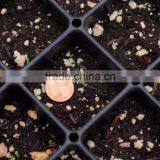50 Cell, 104 Cell Plastic PS Seedling Tray for Agriculture thumbnail-1
