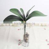SJ013831 High Quality Real Touch Leaves From Artificial Phalaenopsis Orchid Flower/orchid Leaves thumbnail-2