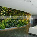 Artificial Green Wall for Office /hotel/home Decoration thumbnail-4