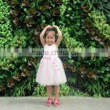 2016 New Line Green Wall for Fashion Show Plants Green Wall thumbnail-5