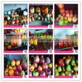 Top Sale Decorative Handicraft Home Decoration Design Party Decoration thumbnail-6