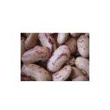 Light Spekled Kidney Beans