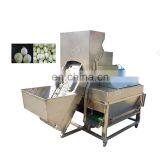 Auto Electric Onion Garlic Peeling Onion Peeler And Cutter Machine thumbnail-5