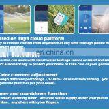 Smart Irrigation Valve Wifi Automatic Shut off Smart Valve Stainless Steel Brass BSP NPT Motorized Flow Control Valve thumbnail-5