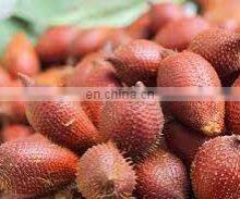 WHOSALE SWEET AND SOUR SALAK/SALACCA/ZALACCA FTUIT MADE IN VIET NAM thumbnail-3