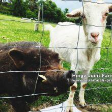 gettyimages-565826847-2048x2048