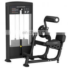 Camber Curl Commercial Gym Gimnasio Machine for Gym Machine Equip Fitness Gym Equipment Sales
