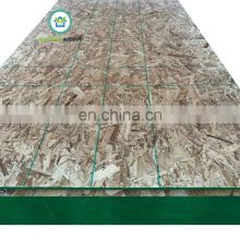 Phenolic oriented strand board OSB 2 and OSB 3 construction 9mm 11mm with line