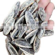 2022 Byloo China Confectionery Sunflower Kernels With Organic Sunflower Seed Kernels Ton Price thumbnail-5