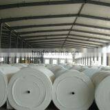 Spunbond Nonwoven Fabric/polyester Mat for Waterproof Material thumbnail-1