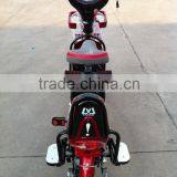 Hot Sales Popular Design 350W 48V 12AH 2 Wheel Electric Bicycle thumbnail-3